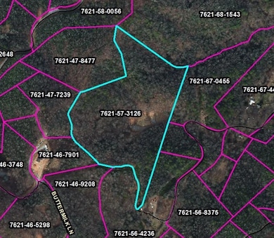 1182 Tunnel Mountain Rd, Sylva, NC 28779 - photo 6