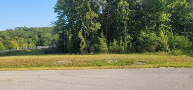 0 State Hwy 111 unit RTC2995387, Spencer, TN 38585 - photo 4