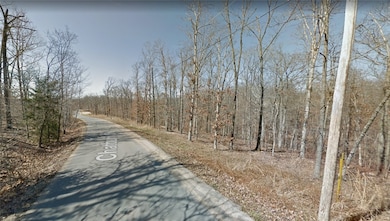 3 Chatburn Cir unit 1242234, Bella Vista, AR 72715 - photo 5