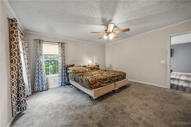 566 Will Johnson Rd, Louisa, VA 23093 - photo 5