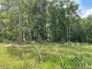 View of tree filled area