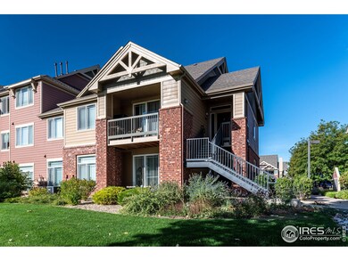 804 Summer Hawk Dr unit 5104, Longmont, CO 80504 - photo 6