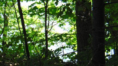 DSC02738