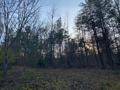 Lot 284 Waterway Ct, Lynch Station, VA 24571 - photo 7