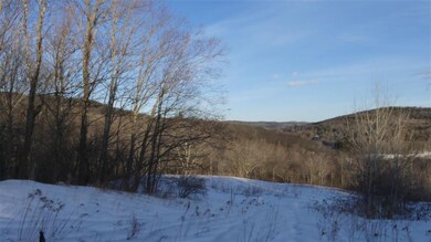 39 Primrose Ln, Wilmington, VT 05363 - photo 7
