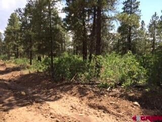 0 Calico Trail unit 696699, Durango, CO 81301 - photo 2