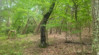 1429 Casey Creek Rd, Chesnee, SC 29323 - photo 2