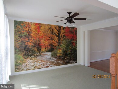 12325 Cherry Branch Dr, Clarksburg, MD 20871 - photo 6