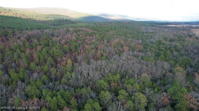 TBD Oklahoma 128, Heavener, OK 74937 - photo 6