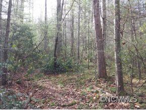 9999 Little Lake Rd, Etowah, NC 28729 - photo 6