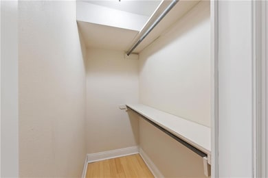 Primary closet