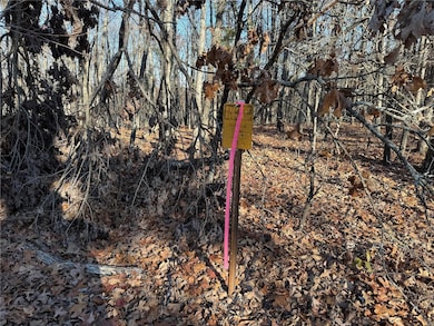 1 Rd, Fredericktown, MO 63645 - photo 3