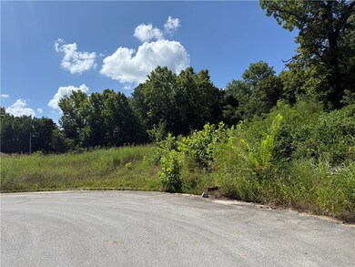 387 & 397 Hidden Creek Place, West Fork, AR 72774 - photo 6