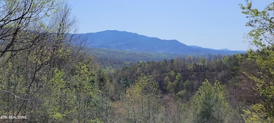 3755 Warden Branch Ln, Gatlinburg, TN 37738 - photo 4