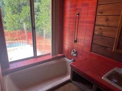 3709 Carson Rd, Camino, CA 95709 - photo 6