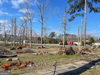 0 E Spring St, Mount Vernon, GA 30445 - photo 6