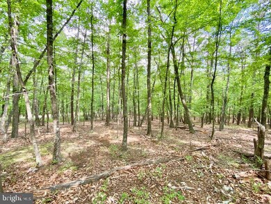 0 Lost River Ridge Cir unit WVHD2001560, Wardensville, WV 26851 - photo 6