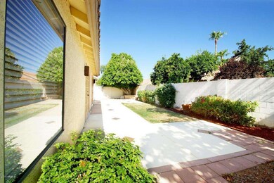 Backyard 5