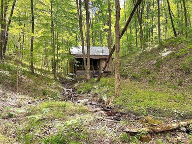 Cabin
