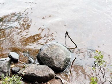 Lot 4 Forrester Rd, Tomahawk, WI 54487 - photo 4