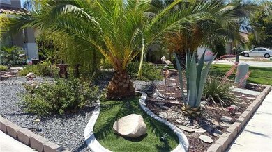 Drought Tolerant landscaping!
