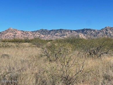Lot 67 E Horse Ranch Unit 1 Rd unit 67, St. David, AZ 85630 - photo 3