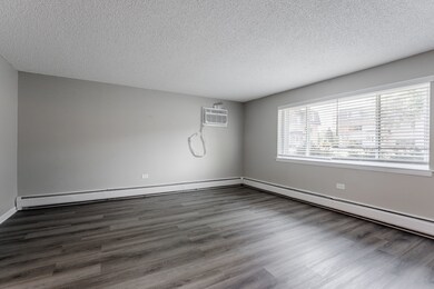 10070 Holly Ln unit GW, Des Plaines, IL 60016 - photo 4