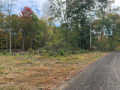 Surry Border
