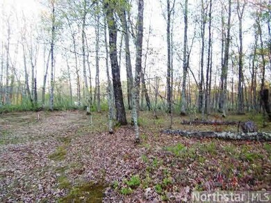 4530 4530 Deerpath Trailway, Jackson, WI 54830 - photo 4