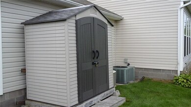 Backyard shed