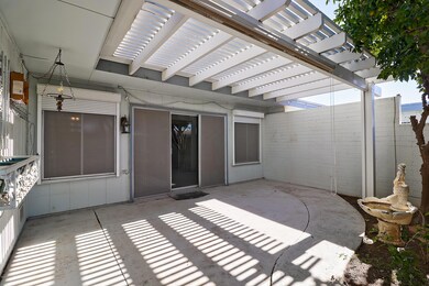 Rear Patio