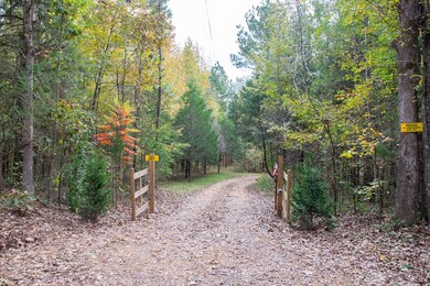 201 Cr 449, Oxford, MS 38655 - photo 3
