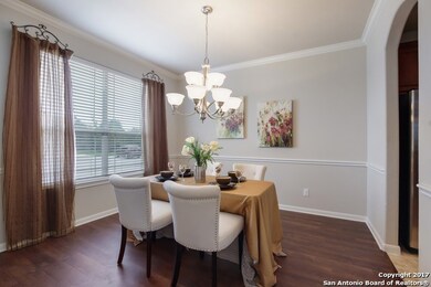 3630 Globe Willow, San Antonio, TX 78261 - photo 5