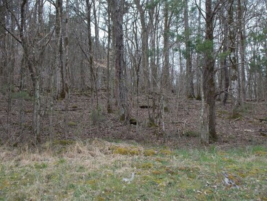 11 Kelly Landing Rd, Linden, TN 37096 - photo 3