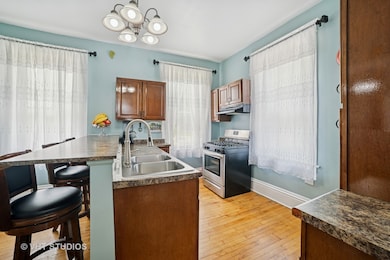 558 N Crystal St, Elgin, IL 60123 - photo 5