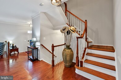 22605 Welborne Manor Square, Ashburn, VA 20148 - photo 4