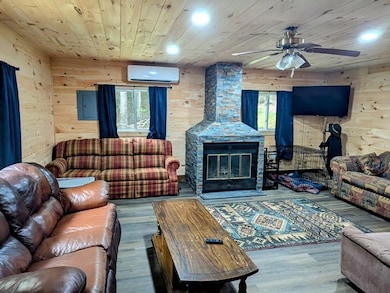 198 Spring Run Rd, Smethport, PA 16749 - photo 5