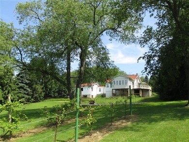 It's a hidden back yard gem! The far left of the h