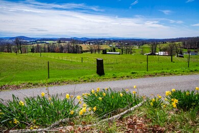 1201 Manley Rd, Rutledge, TN 37861 - photo 3