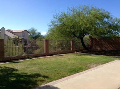 View Fencing / Backyard