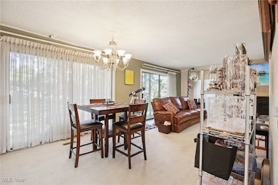 Carpeted dining area featuring a textured ceiling and a chandelier