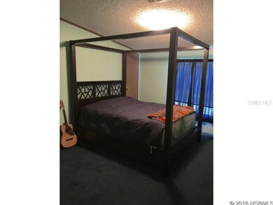 4692 Cedar Rd, New Smyrna Beach, FL 32168 - photo 3