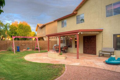 Back Yard 1