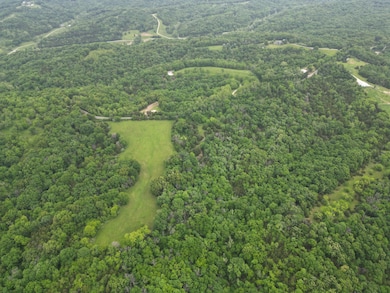 DJI_0847