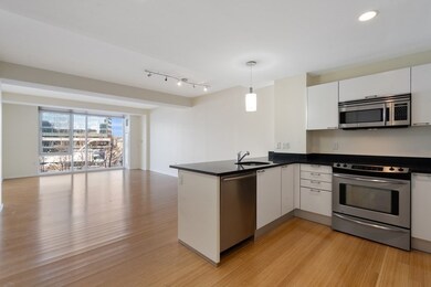 Sierra & Tango Condominiums unit T419, Cambridge, MA 02141 - photo 5
