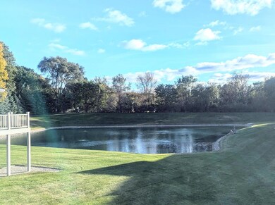 pond