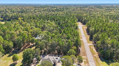 2020 White Buck Ct, Cleveland, TX 77328 - photo 3