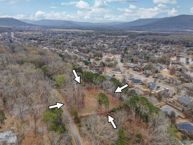 2571 Little Cove Rd, Owens Cross Roads, AL 35763 - photo 4