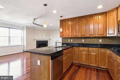 4800 Coyle Rd unit 305, Owings Mills, MD 21117 - photo 6