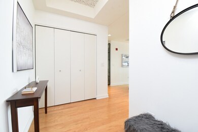 The Legacy at Millennium Park unit 5403, Chicago, IL 60603 - photo 6